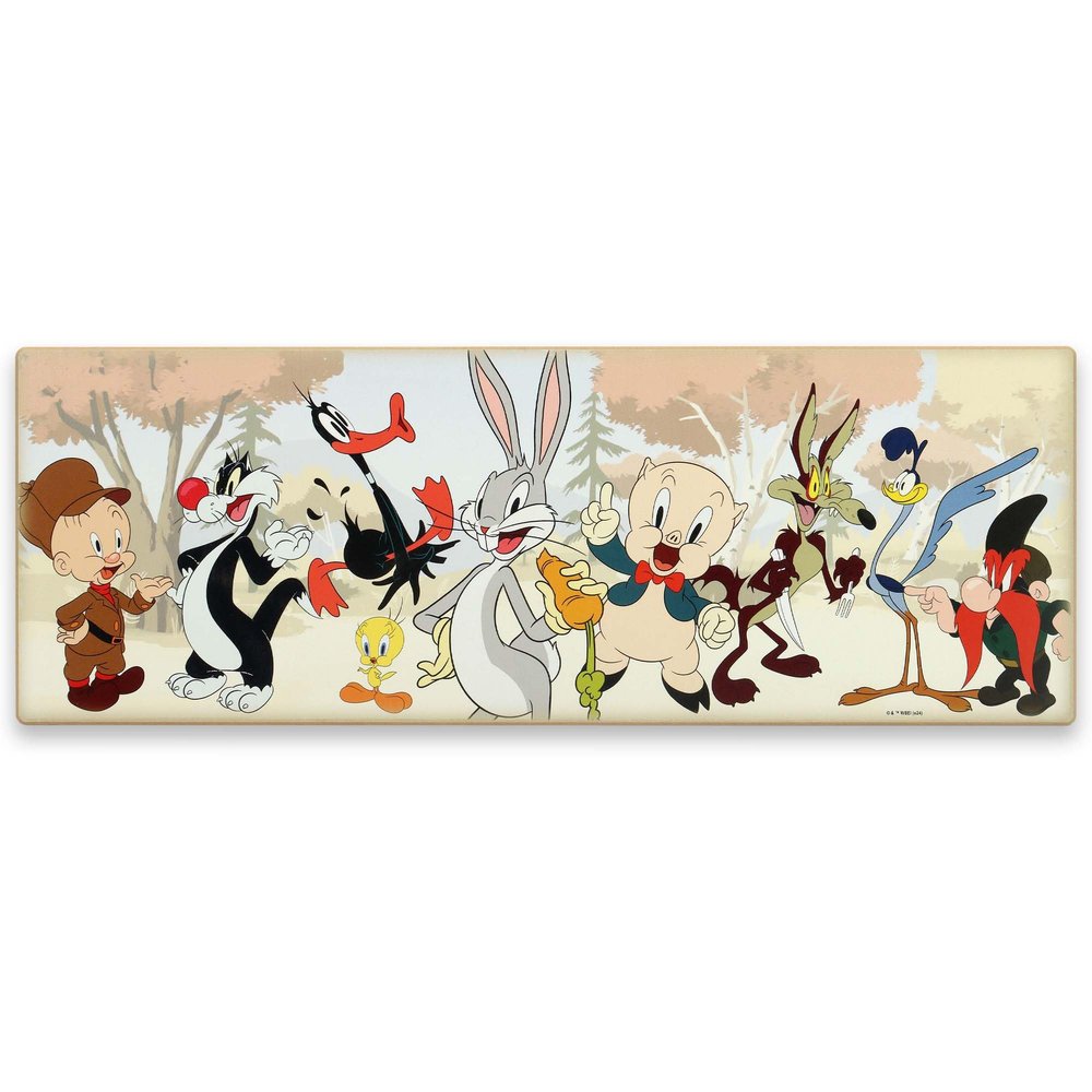 Looney Tunes Wooden Wall Decor