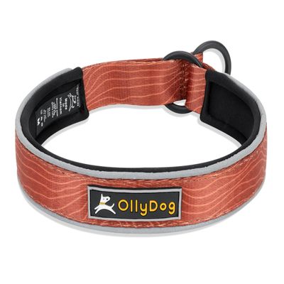 OllyDog Martingale Reflective Comfort Collar