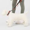 OllyDog Martingale Reflective Comfort Collar view 3