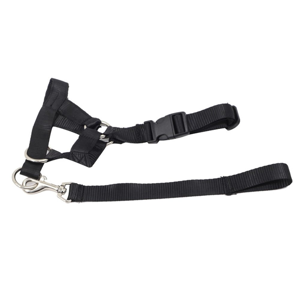 Adjustable Dog Collar for Walking, Helps Prevent Biting and Barking (S)