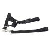 Adjustable Dog Collar for Walking, Helps Prevent Biting and Barking (S) view 1