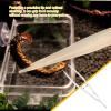 Reptile Feeding Tongs - Glow in the Dark view 3