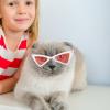 Funny Pet Sunglasses - Triangular Frame view 2
