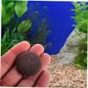 BESPORTBLE 10 Pack Coconut Shell Decoration Elements view 4