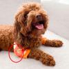 Naroote Dog Elbow Protector (L) view 4