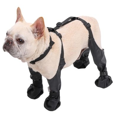 BT Bear Waterproof Dog Shoes with Support Straps, Size M