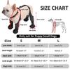 BT Bear Waterproof Dog Shoes with Support Straps, Size M view 3