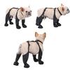 BT Bear Waterproof Dog Shoes with Support Straps, Size M view 4