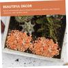 CIYODO Natural Crystal Stones for Aquariums view 4