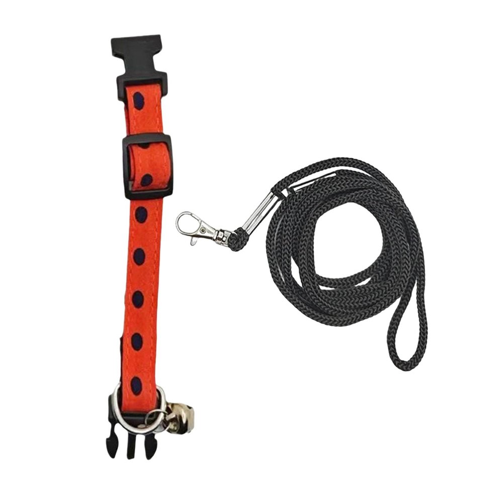 Luojuny Durable Dog Leash Set
