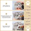 Small Toothbrush for Cats and Dogs view 2