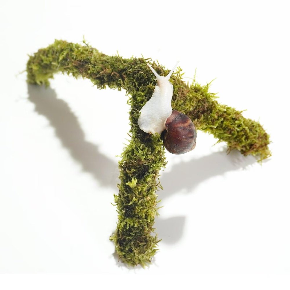 Begeterday Pet Snail Climbing Toy