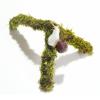 Begeterday Pet Snail Climbing Toy view 1