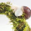 Begeterday Pet Snail Climbing Toy view 3