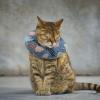 Adjustable Cat Protection Collar with Ice Cream Design view 3