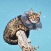 Adjustable Cat Protection Collar with Ice Cream Design view 4