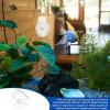 Kisangel Glass Fish Feeder Cup with Suction Cup view 3