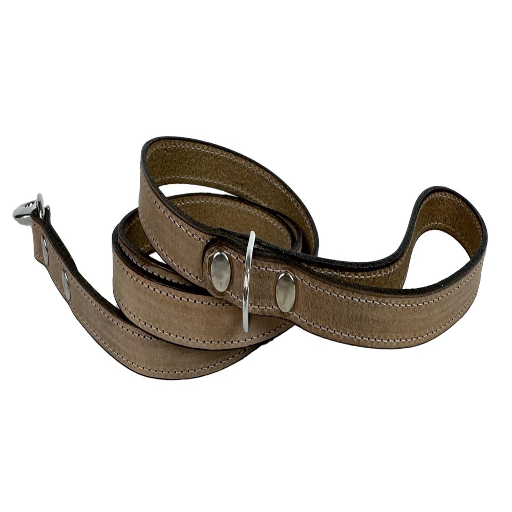 Sazzz Fearless Vintage Leather Dog Leash Beige