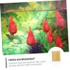 Happyyami 2-Piece Aquarium Filter Sponge Set for Fish Tanks view 4