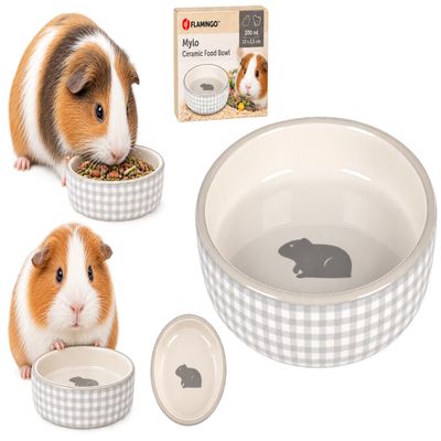 Mylo Guinea Pig Food Bowl, Gray/White Ceramic, Round, 200 mL, 12 x 3.5 cm