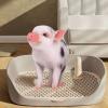 Pet Training Toilet Tray for Cats and Dogs view 2
