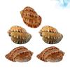 Happyyami 5-Piece Seashell Aquarium Decorations, Random Colors view 2