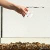 Happyyami 5-Piece Shrimp Feeding Set view 4