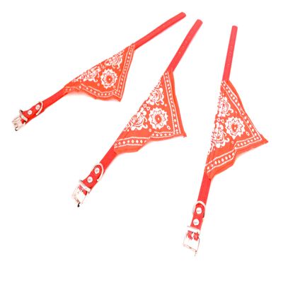3 Small Collars for Dogs and Cats