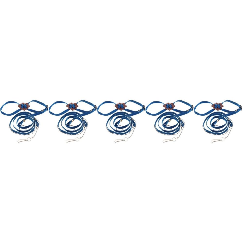 Sosoport 5-Piece Outdoor Turtle Leash Set, Adjustable Reptile Harnesses and Training Leads