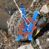 Sosoport 5-Piece Outdoor Turtle Leash Set, Adjustable Reptile Harnesses and Training Leads view 2
