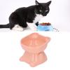 Elevated Ceramic Cat Bowl view 3