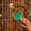 Sosoport 25-Piece Plastic Food Bowls for Bird Cages, Green view 4