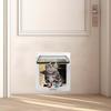 4-Way Lock Cat Door, Weather-Resistant, 28 × 25 × 5.5 cm view 3