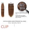 Clip-In Human Hair Extensions for Women, Straight Remy Hair, Full Head, 7 Pieces with 16 Clips, Brown, 16 in (41 cm) view 3