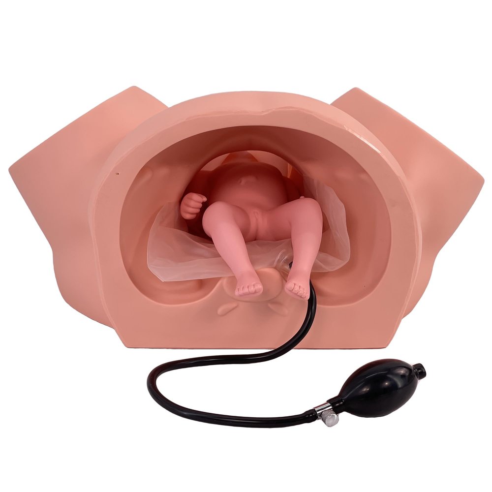 DRXRD Life-Size Birth Model for Dystocia Training