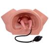 DRXRD Life-Size Birth Model for Dystocia Training view 1