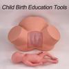 DRXRD Life-Size Birth Model for Dystocia Training view 2