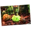 Green ABS Reptile Water Bowl with Spill Protection view 2