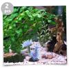 BESPORTBLE 2pcs Realistic Soft Body Imitation Tank Decorations view 4