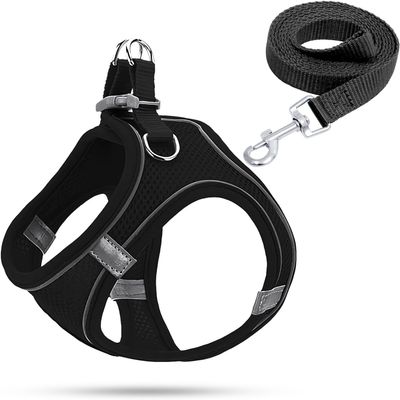 Dog Harness for Small Dogs, Puppy Harness with Leash