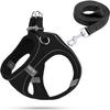 Dog Harness for Small Dogs, Puppy Harness with Leash view 1