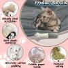 Andiker Cat Toy for Indoor Cats view 3