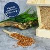 Lyra Pet 10 kg Milo Wild Bird Food in a 30 L Bin view 4
