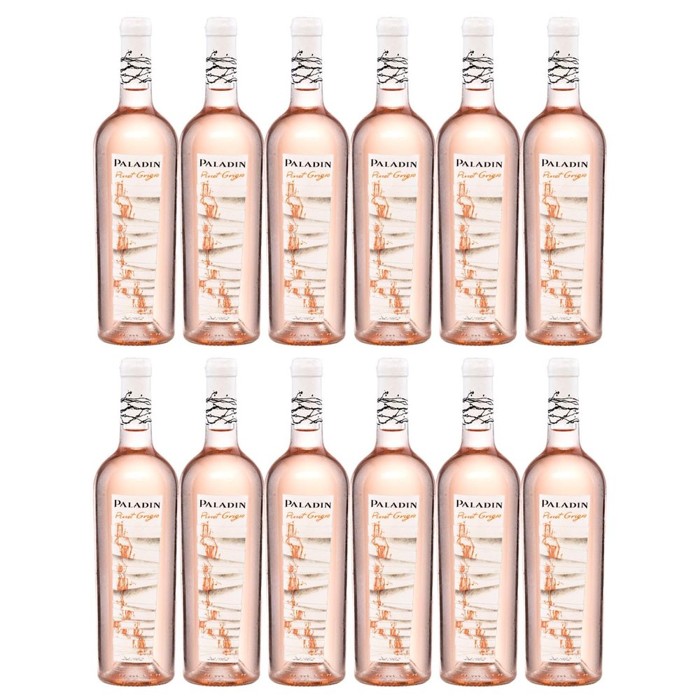 Paladin Pinot Grigio Rosé Dry Vegan Rosé Wine, Italy (12 x 0.75 L) with FeinWert E-Book