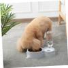 Double Stainless Steel Food and Water Bowl for Cats and Dogs view 3