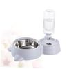 Double Stainless Steel Food and Water Bowl for Cats and Dogs view 4