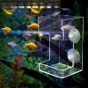 Folpus Acrylic Fish Feeder view 2