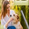 InstrumenteNrw Professional Tick Remover for Pets view 2