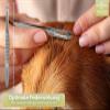 InstrumenteNrw Professional Tick Remover for Pets view 3