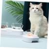 Yardwe Elevated Cat Bowl with 15° Tilt view 2